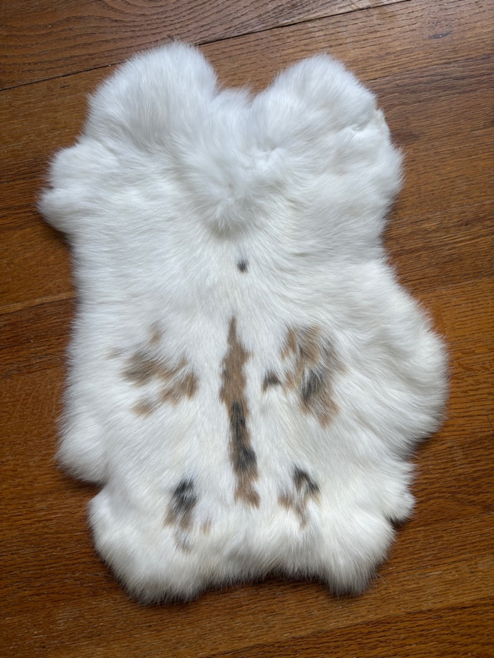0725 rabbit pelt crafts decor